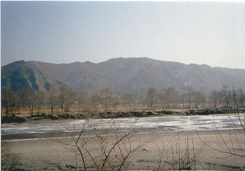 kN